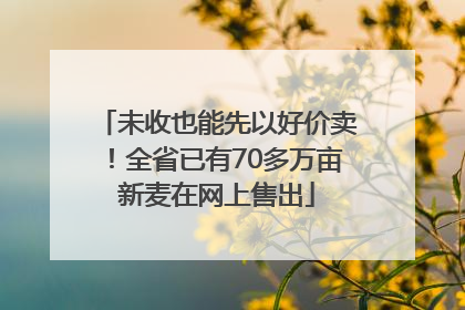 未收也能先以好价卖！全省已有70多万亩新麦在网上售出