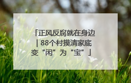 正风反腐就在身边｜88个村摸清家底变“闲”为“宝”