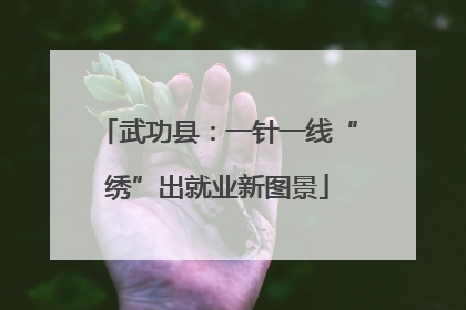 武功县：一针一线“绣”出就业新图景