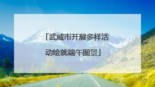 武威市开展多样活动绘就端午图景