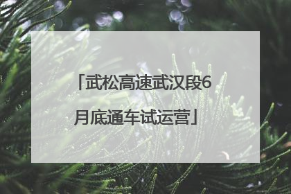 武松高速武汉段6月底通车试运营