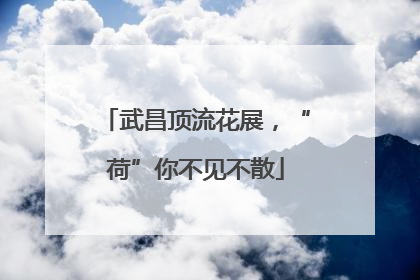 武昌顶流花展，“荷”你不见不散
