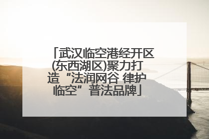 武汉临空港经开区(东西湖区)聚力打造“法润网谷 律护临空”普法品牌
