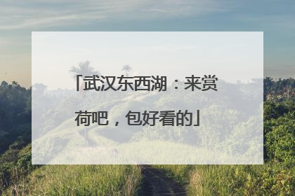 武汉东西湖：来赏荷吧，包好看的