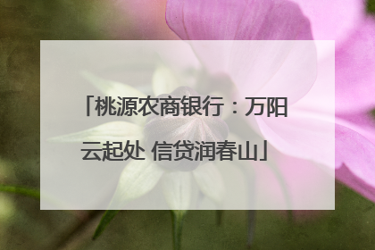 桃源农商银行：万阳云起处 信贷润春山
