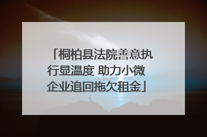 桐柏县法院善意执行显温度 助力小微企业追回拖欠租金