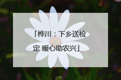 桦川：下乡送检定 暖心助农兴
