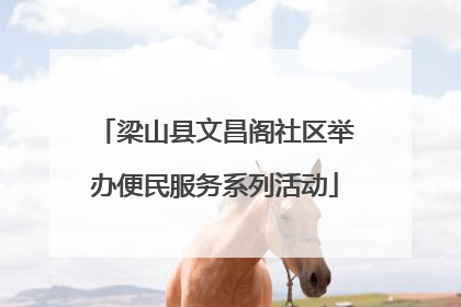 梁山县文昌阁社区举办便民服务系列活动