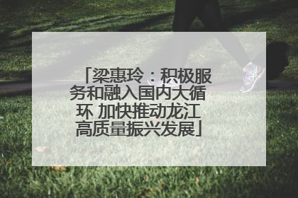 梁惠玲：积极服务和融入国内大循环 加快推动龙江高质量振兴发展