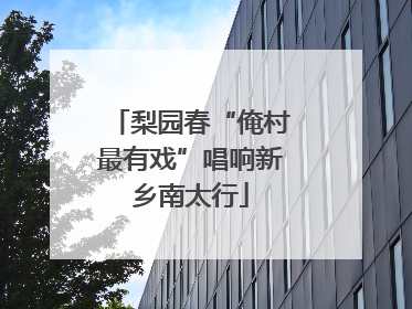 梨园春“俺村最有戏”唱响新乡南太行