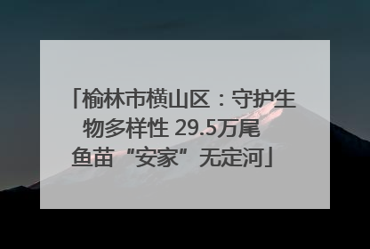 榆林市横山区：守护生物多样性 29.5万尾鱼苗“安家”无定河
