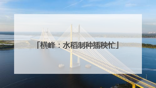 横峰：水稻制种插秧忙