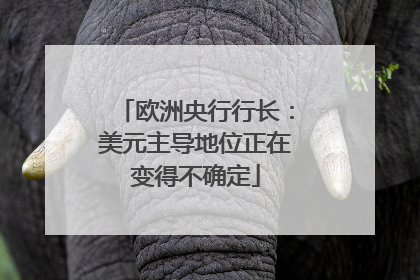 欧洲央行行长：美元主导地位正在变得不确定