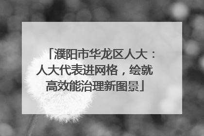 濮阳市华龙区人大：人大代表进网格，绘就高效能治理新图景