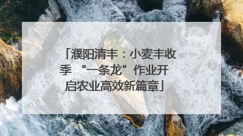 濮阳清丰：小麦丰收季 “一条龙”作业开启农业高效新篇章
