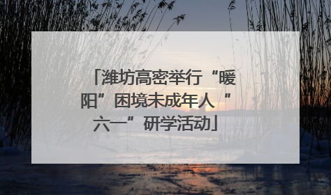 潍坊高密举行“暖阳”困境未成年人“六一”研学活动