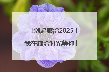 潮起廊洽2025丨我在廊洽时光等你