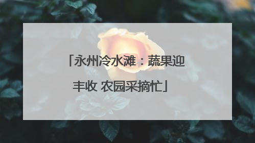 永州冷水滩：蔬果迎丰收 农园采摘忙