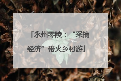 永州零陵：“采摘经济”带火乡村游