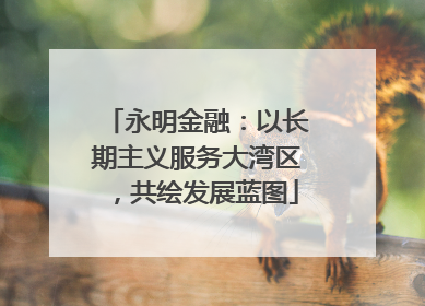 永明金融：以长期主义服务大湾区，共绘发展蓝图