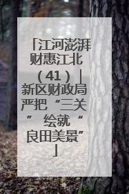 江河澎湃 财惠江北（41）｜新区财政局严把“三关” 绘就“良田美景”