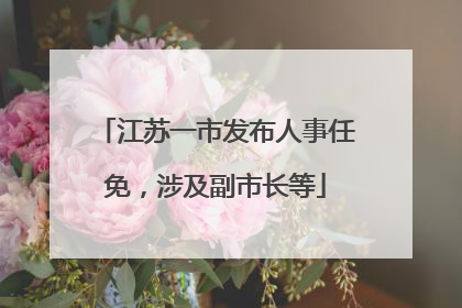 江苏一市发布人事任免，涉及副市长等