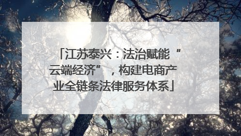 江苏泰兴：法治赋能“云端经济”，构建电商产业全链条法律服务体系