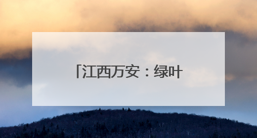 江西万安：绿叶生金 小叶子撬动乡村共富大产业