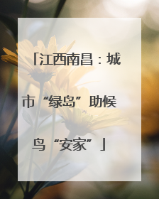江西南昌：城市“绿岛”助候鸟“安家”