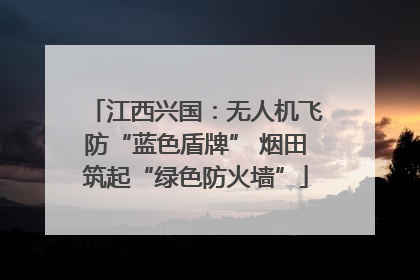 江西兴国：无人机飞防“蓝色盾牌” 烟田筑起“绿色防火墙”