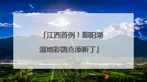江西首例！鄱阳湖湿地彩鹮喜添新丁