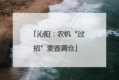 沁阳：农机“过招”麦香满仓