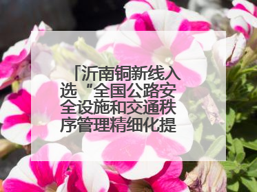 沂南铜新线入选“全国公路安全设施和交通秩序管理精细化提升精品工程”