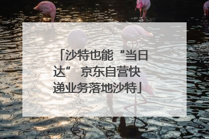 沙特也能“当日达” 京东自营快递业务落地沙特