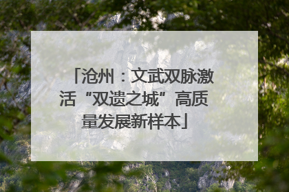 沧州：文武双脉激活“双遗之城”高质量发展新样本