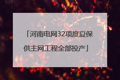 河南电网32项度夏保供主网工程全部投产