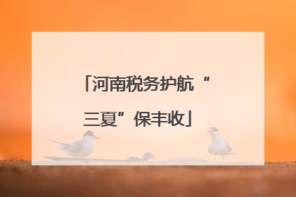 河南税务护航“三夏”保丰收