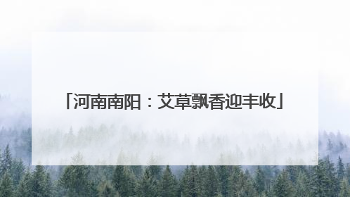 河南南阳：艾草飘香迎丰收