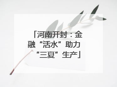 河南开封：金融“活水”助力“三夏”生产