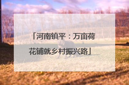 河南镇平：万亩荷花铺就乡村振兴路