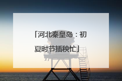 河北秦皇岛：初夏时节插秧忙