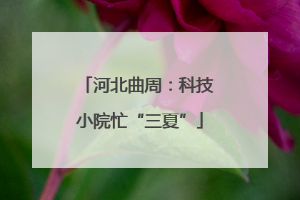 河北曲周：科技小院忙“三夏”