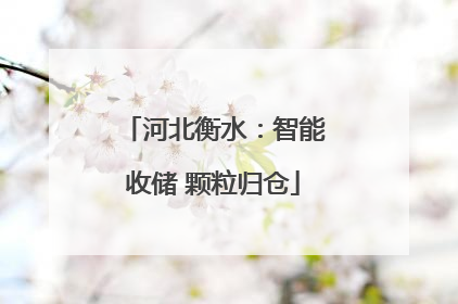 河北衡水：智能收储 颗粒归仓