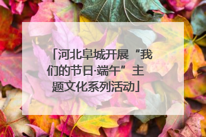 河北阜城开展“我们的节日·端午”主题文化系列活动