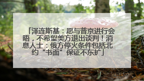泽连斯基：愿与普京进行会晤，不希望美方退出谈判！消息人士：俄方停火条件包括北约“书面”保证不东扩