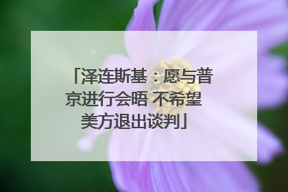 泽连斯基：愿与普京进行会晤 不希望美方退出谈判