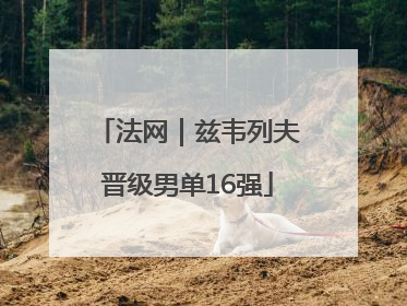 法网｜兹韦列夫晋级男单16强