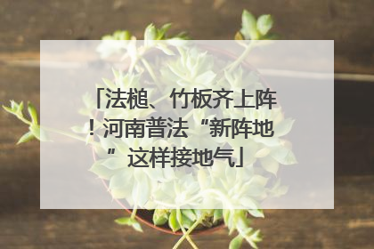 法槌、竹板齐上阵！河南普法“新阵地”这样接地气