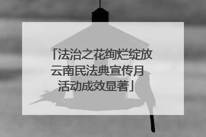 法治之花绚烂绽放 云南民法典宣传月活动成效显著