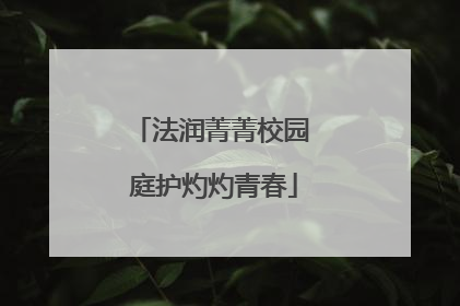 法润菁菁校园 庭护灼灼青春